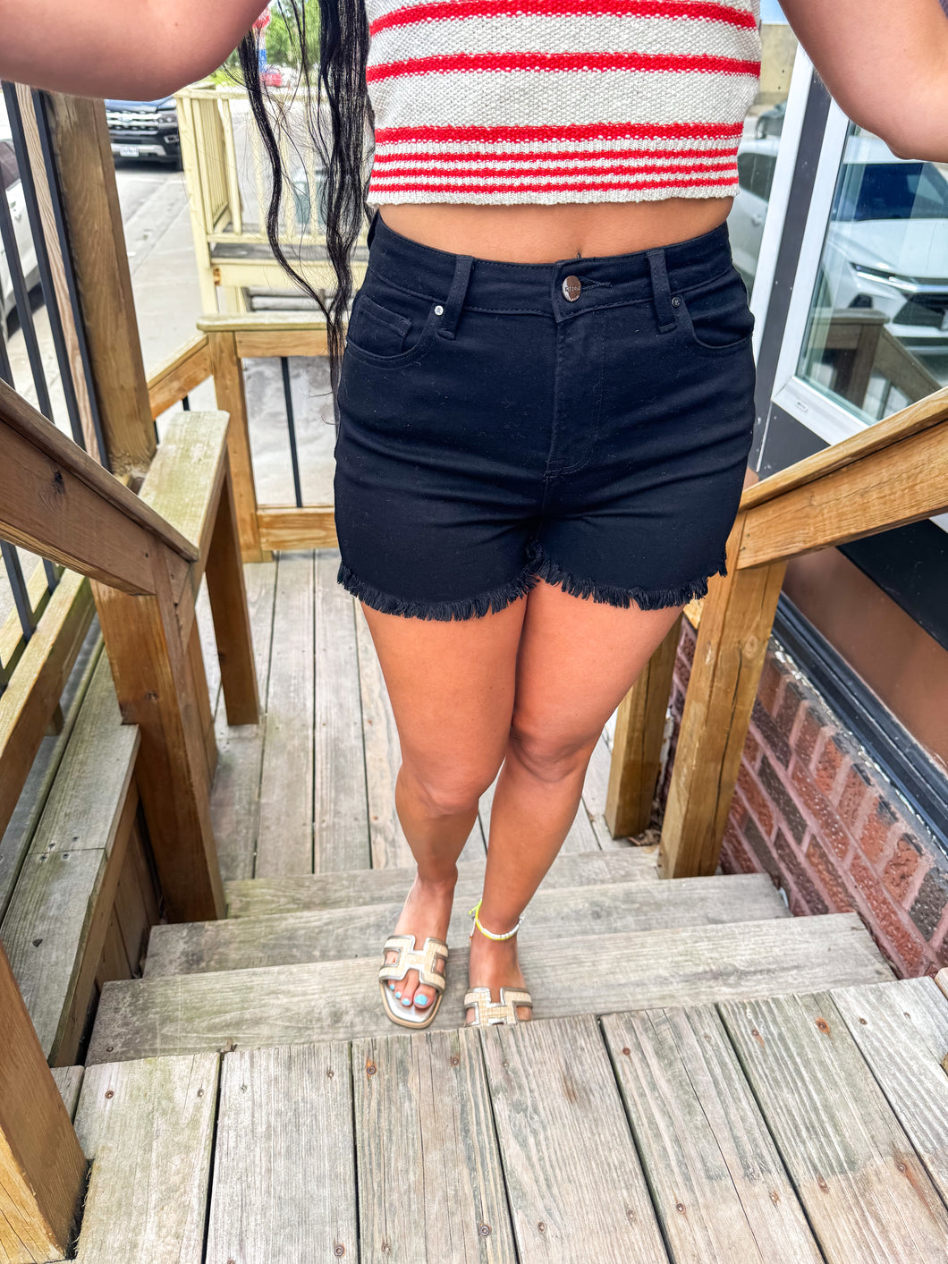 Zion- High Rise Basic Shorts