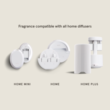 Load image into Gallery viewer, Oleander Oak - Pura Home Diffuser Scent Refill
